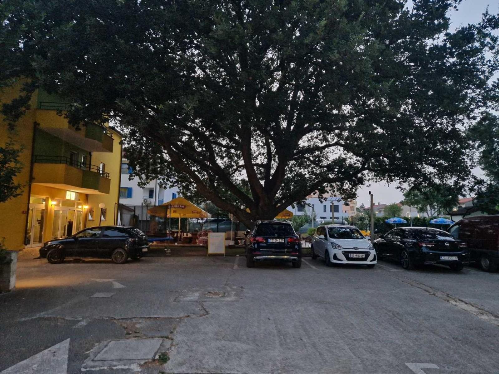 Biergarten מדולין מראה חיצוני תמונה
